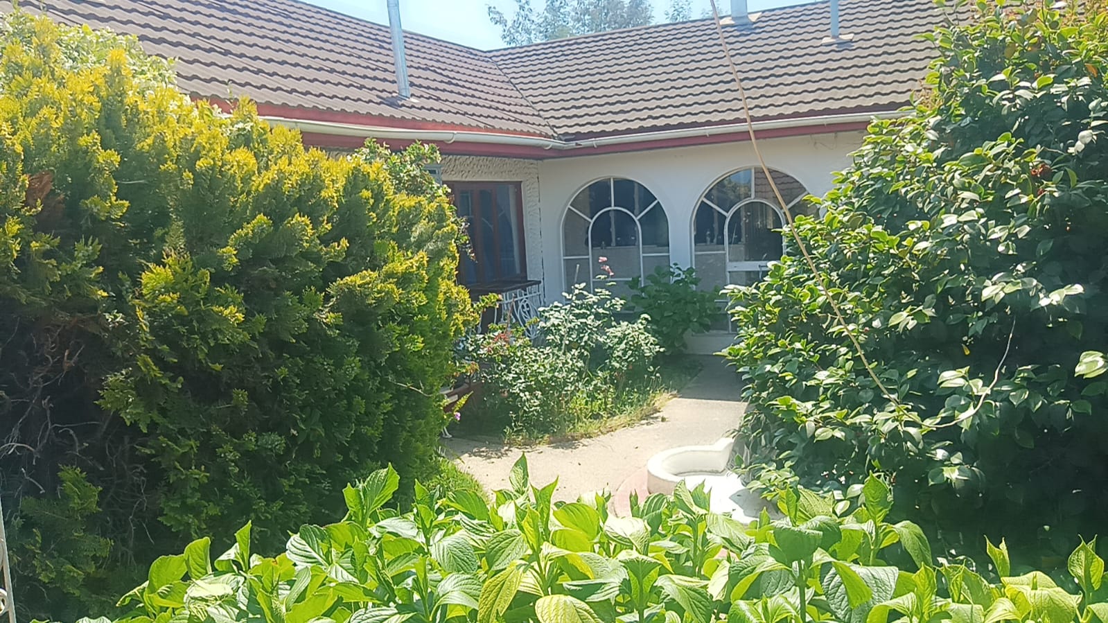 Foto 5